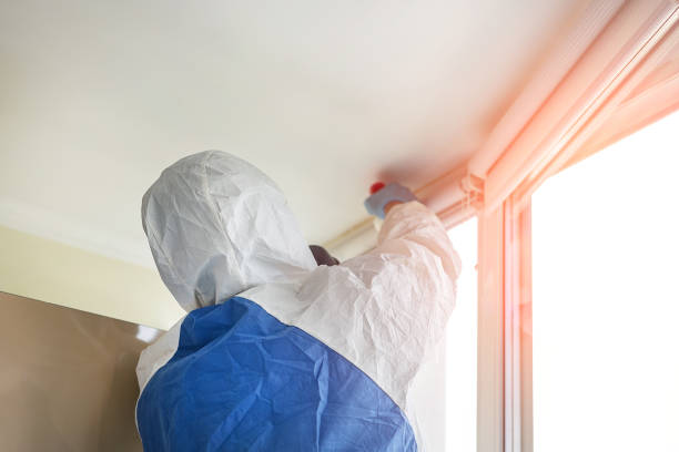 Mold Documentation for Insurance Claims in League City, TX